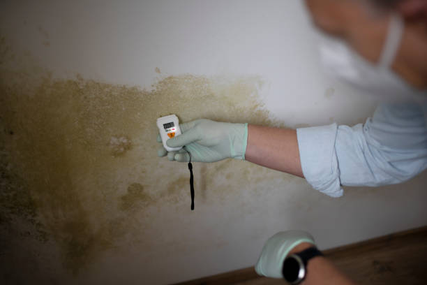 Best Crawl Space Mold Removal  in Goshen, AR