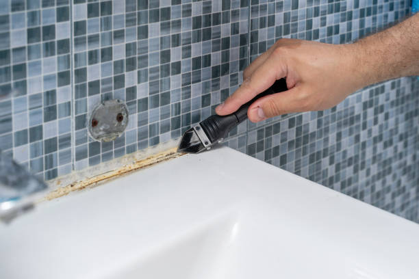 Best Local Mold Removal Service  in Goshen, AR