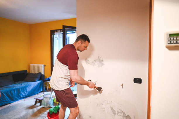 Professional Mold Removal in Goshen, AR